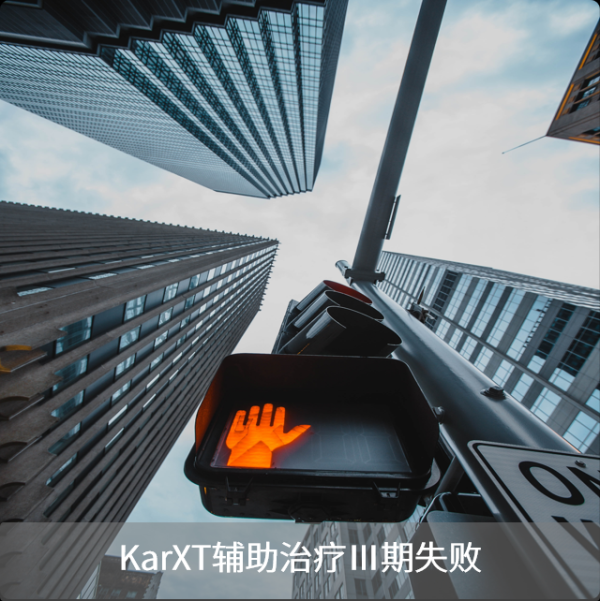 上阳网 锦波2024年财报，净利润大涨144%