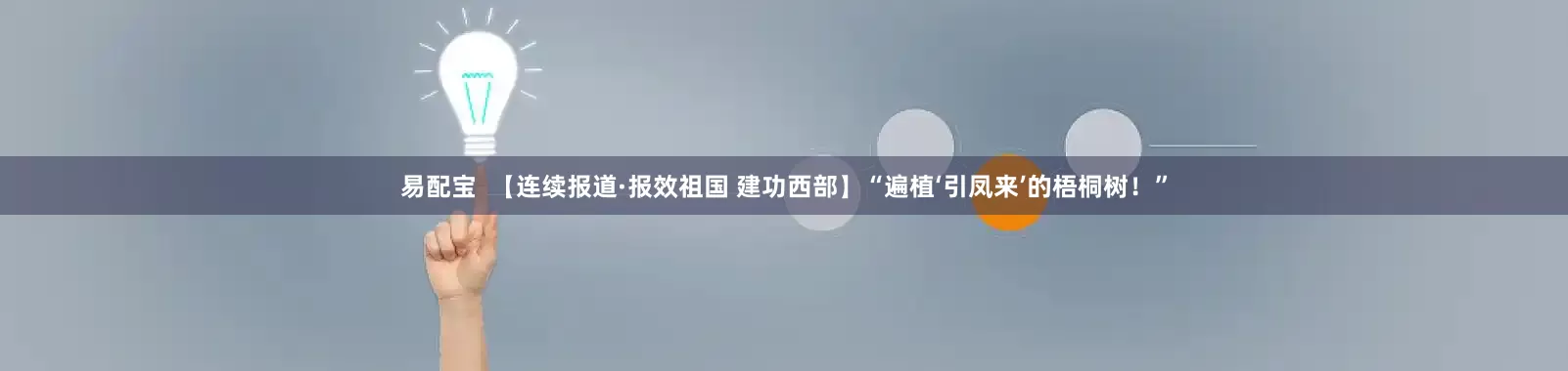 易配宝  【连续报道·报效祖国 建功西部】“遍植‘引凤来’的梧桐树！”