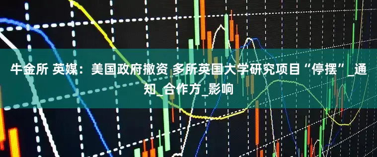 牛金所 英媒：美国政府撤资 多所英国大学研究项目“停摆”_通知_合作方_影响