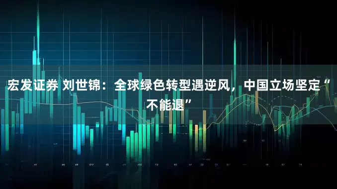 宏发证券 刘世锦：全球绿色转型遇逆风，中国立场坚定“不能退”