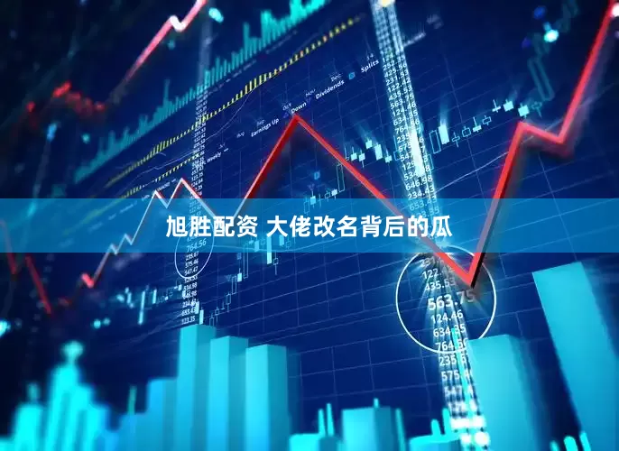 旭胜配资 大佬改名背后的瓜