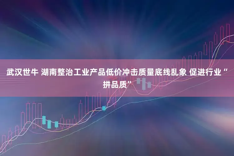 武汉世牛 湖南整治工业产品低价冲击质量底线乱象 促进行业“拼品质”